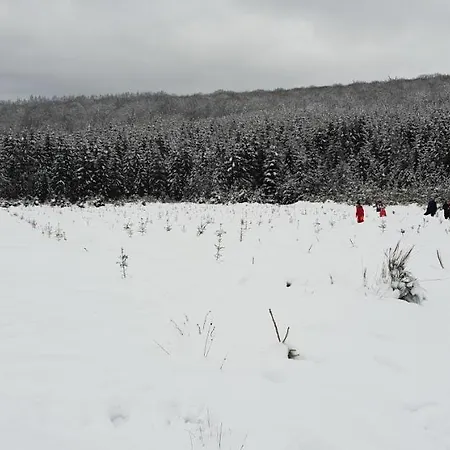 L'avenue Libramont-Chevigny