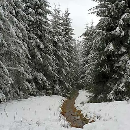 L'avenue 3*
