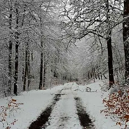 L'avenue 3*