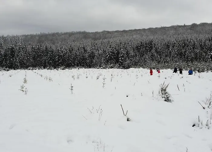 L'avenue Libramont-Chevigny