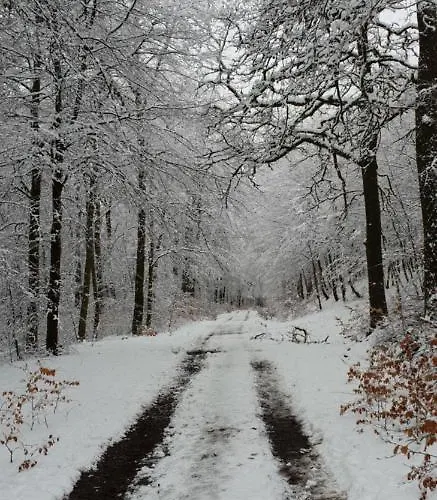 L'avenue Hotel Libramont-Chevigny